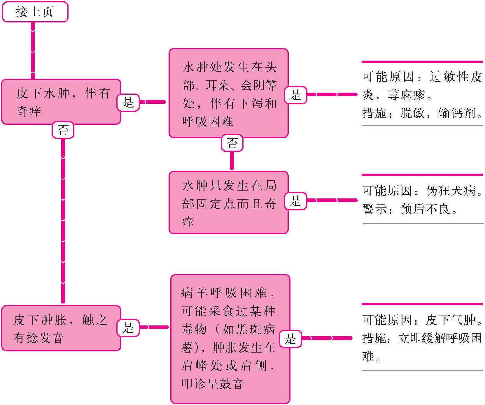 8.皮膚水腫